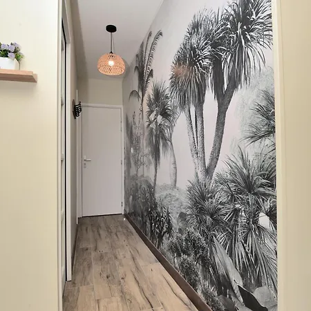 Le Bleu Omer - Jacuzzi Non Dispo & Netflix - Terrasse Privee I Coeur De & Transports - Ideal Famille - Speciale Appartement